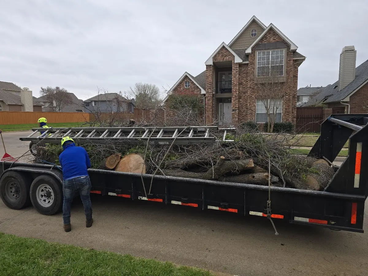 Expert Crown Reduction with proper safety equipment in Garden Grove